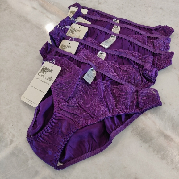 Soo Silks Intimates & Sleepwear 5 Pcs Nwt Silk Panties With Vcut